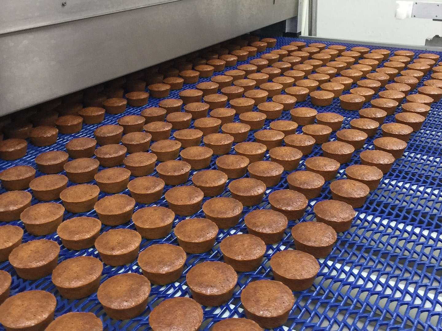 industrial cake machine | cake production line factory
