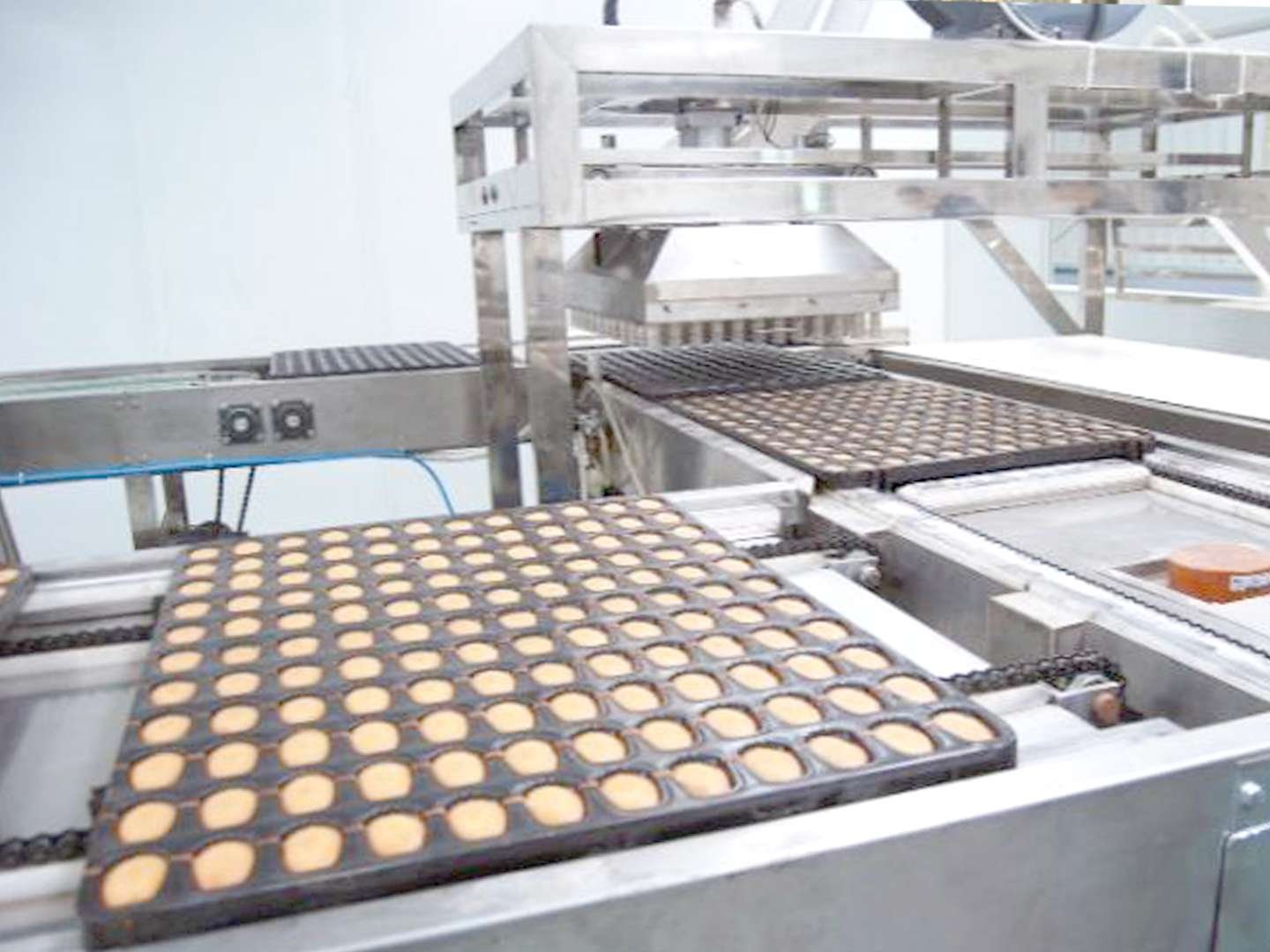 industrial cake machine | cake production line factory